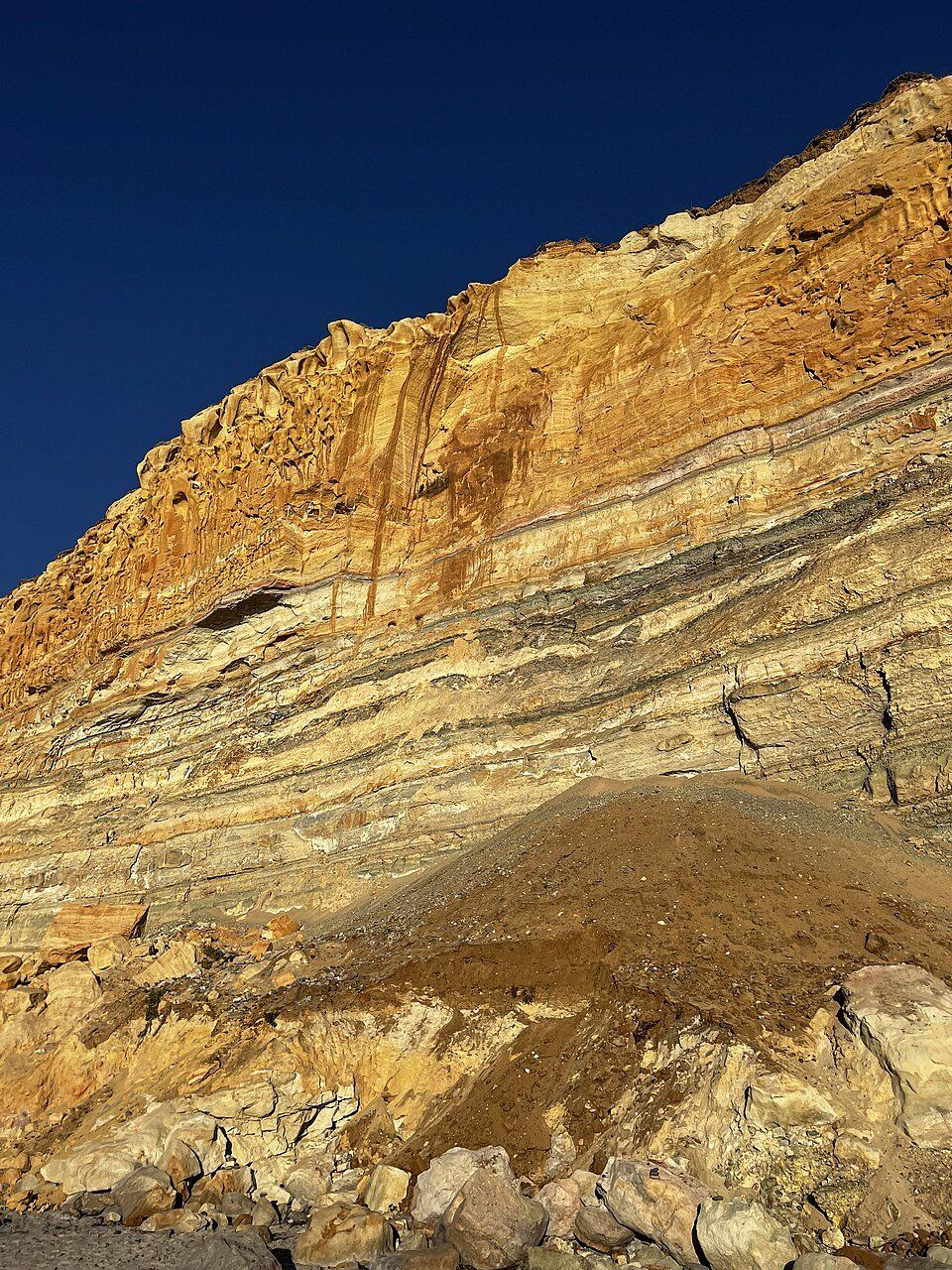 Layered sandstone strata in a sea cliff
