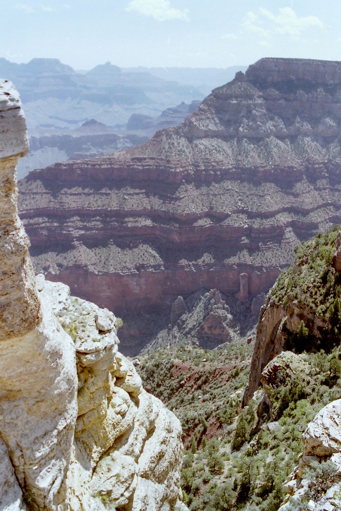 Layered sedimentary rock in a canyon wall
